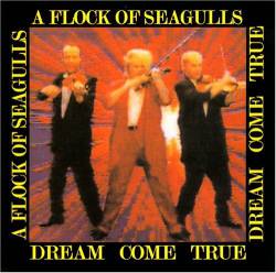 A Flock Of Seagulls : Dream Come True